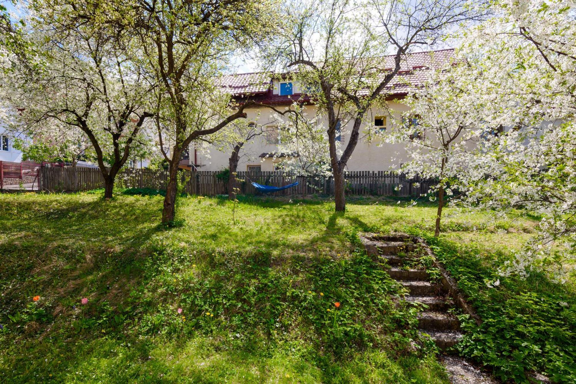 Casa Cu Cires Brasov Apartment Bagian luar foto