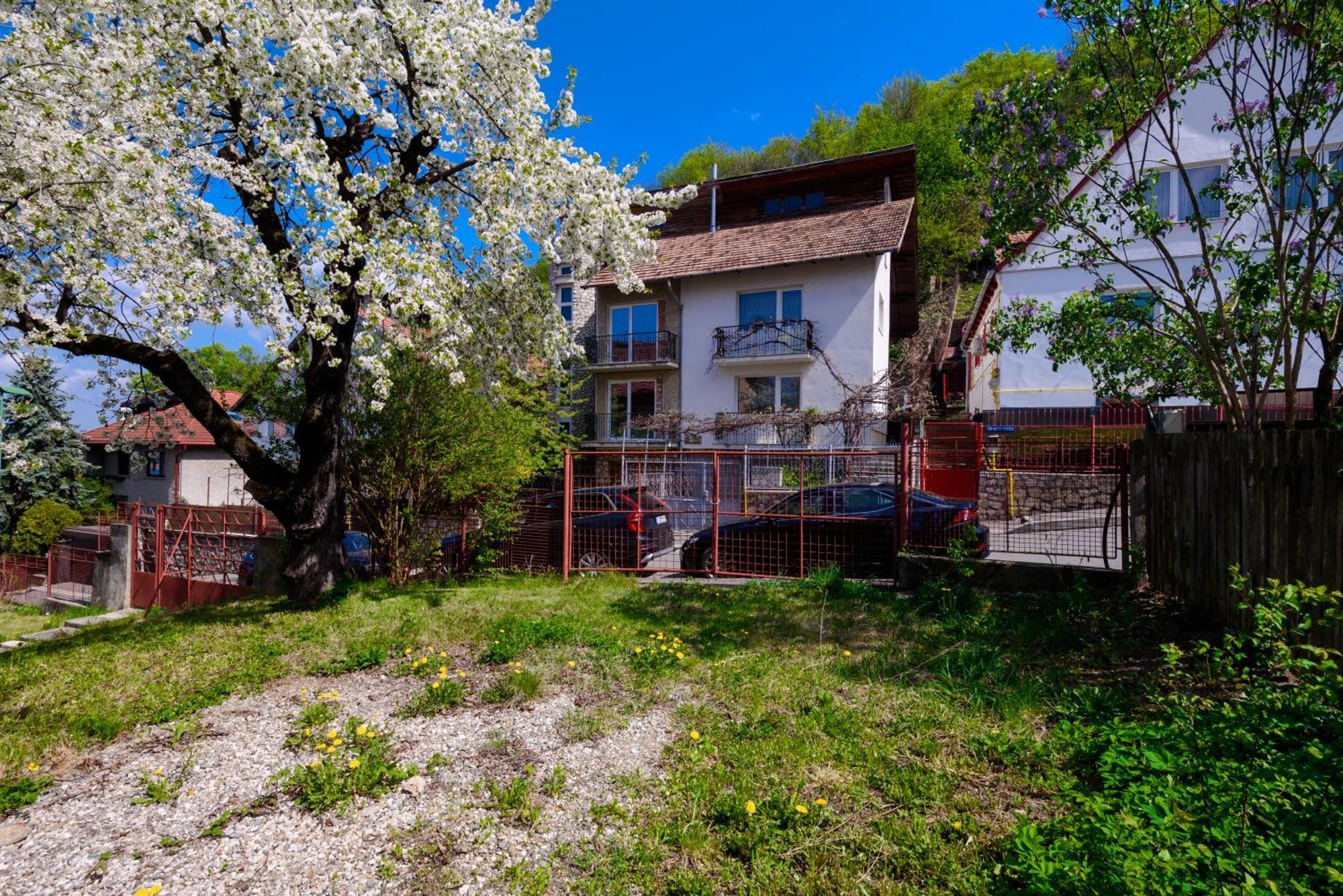 Casa Cu Cires Brasov Apartment Bagian luar foto