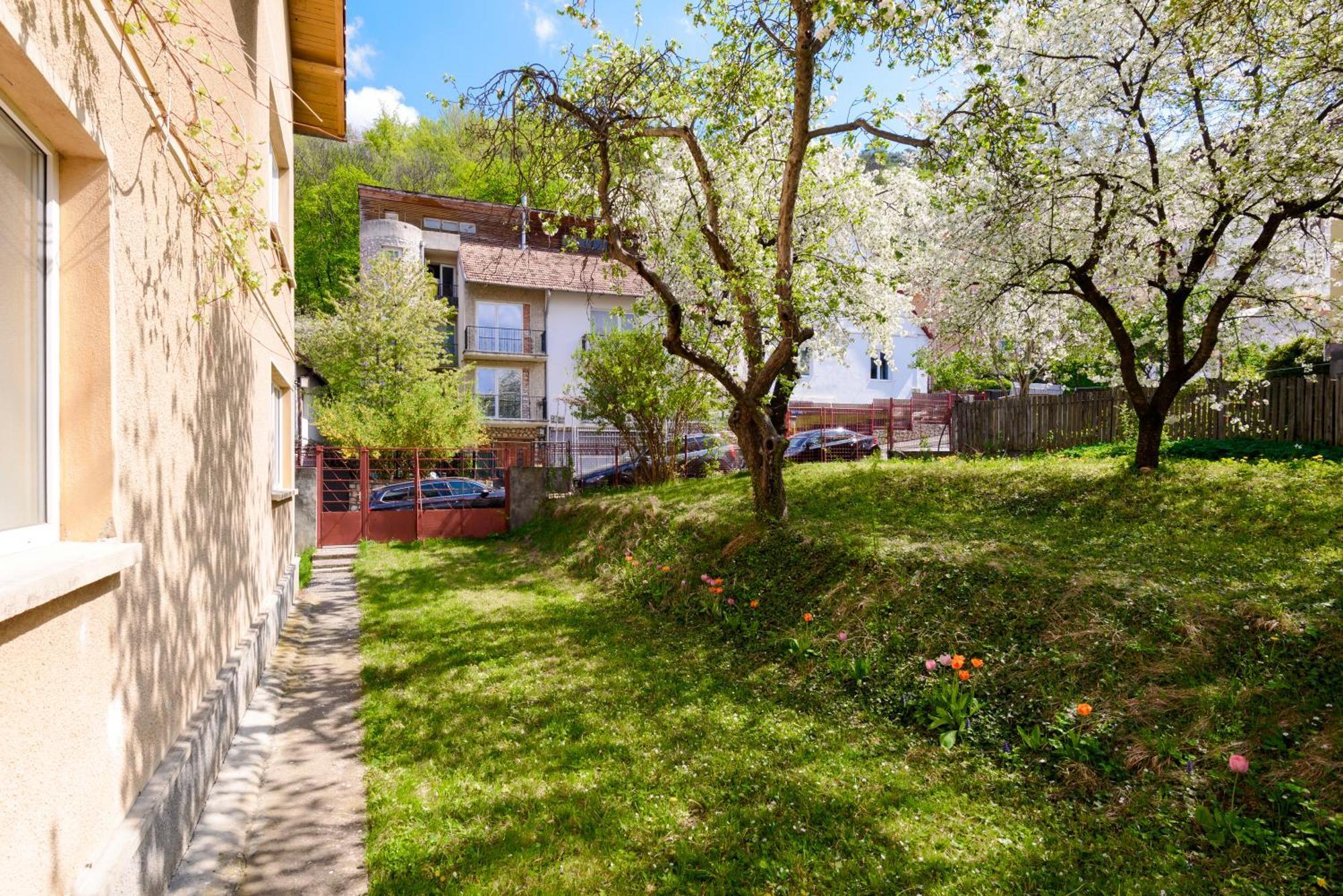 Casa Cu Cires Brasov Apartment Bagian luar foto